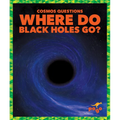 Where Do Black Holes Go?
