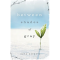 Between Shades of Gray