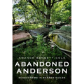 Abandoned Anderson, Indiana: Scarecrows in Barren Fields