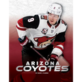 Arizona Coyotes