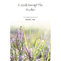 A Walk Amongst The Heather