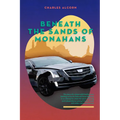 Beneath the Sands of Monahans