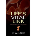 Life's Vital Link: The Astonishing Role of the Placenta