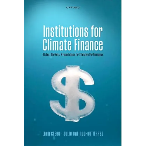 Institutions for Climate Finance: States, Markets, and Foundations for Effective Performance