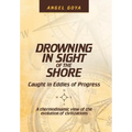 Drowning in Sight of the Shore: Caught in Eddies of Progress
