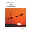 Beyond the Southern Border