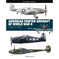 American Fighter Aircraft of World War II