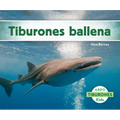 Tiburones Ballena (Whale Sharks)