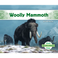 Woolly Mammoth