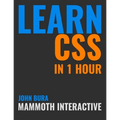 Learn CSS in 1 Hour