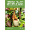 Pitcher Plants Beginner Guide: Easily grow these carnivorous plants on your windowsill, choose the right species, understand their needs, and keep th