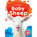 Baby Sheep