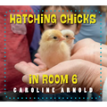 Hatching Chicks in Room 6