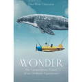 Wonder: The Extraordinary Power of an Ordinary Experience