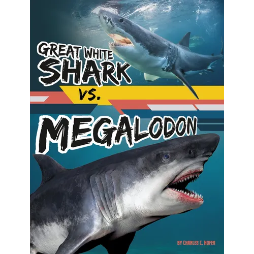 Great White Shark vs. Megalodon