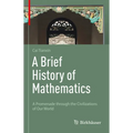A Brief History of Mathematics: A Promenade Through the Civilizations of Our World