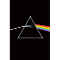 Dark Side of the Moon Revealed