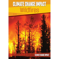 Climate Change Impact: Wildfires