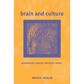 Brain and Culture: Neurobiology, Ideology, and Social Change