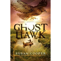 Ghost Hawk