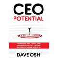 CEO Potential: Transcend Self, Team, and Organization for Lasting Success in the New Age of AI