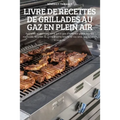 Livre de Recettes de Grillades Au Gaz En Plein Air