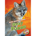 Gray Foxes