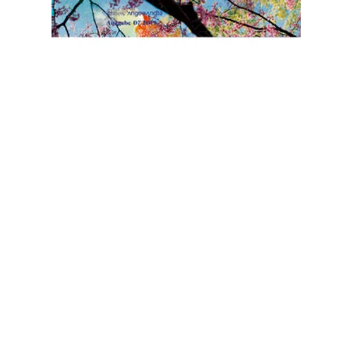 Jenny. Ausgabe 07: Denken. Glänzen. Text.