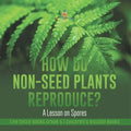 How Do Non-Seed Plants Reproduce? A Lesson on Spores Life Cycle Books Grade 5 Children's Biology Books
