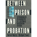 Between Prison and Probation: Intermediate Punishments in a Rational Sentencing System