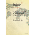 Multiscriptal English in Transliterated Linguistic Landscapes