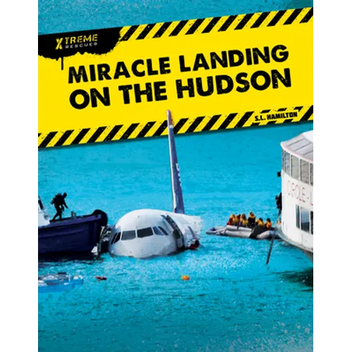 Miracle Landing on the Hudson
