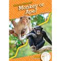 Monkey or Ape?