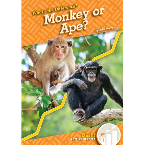 Monkey or Ape?