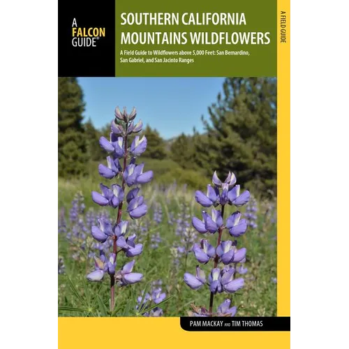Southern California Mountains Wildflowers