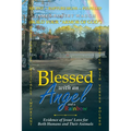 Blessed with an Angel and a Rainbow: Evidence of Jesus' Love for Both Humans and Their Animals