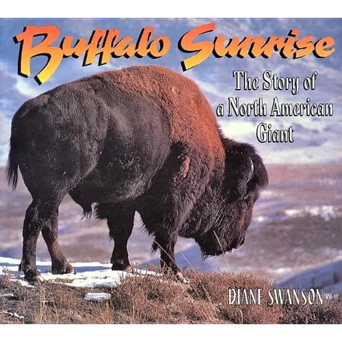 Buffalo Sunrise: The Story of a North American Giant