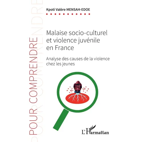 Malaise socio-culturel et violence juvénile en France: Analyse des causes de la violence chez les jeunes
