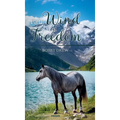 Fair Wind to Freedom