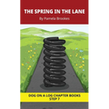 The Spring in the Lane Chapter Book: Decodable Chapter Book Series for Students Learning to Read. For Developing Readers and Students with Dyslexia. (