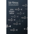 Rain Minnows
