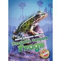 Northern Leopard Frogs
