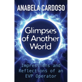 Glimpses of Another World: Impressions and Reflections of an EVP Operator