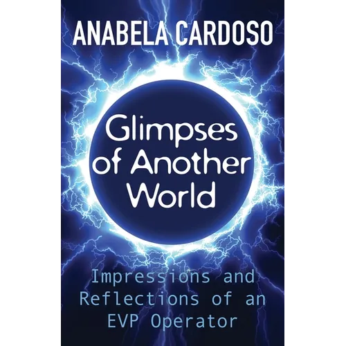 Glimpses of Another World: Impressions and Reflections of an EVP Operator