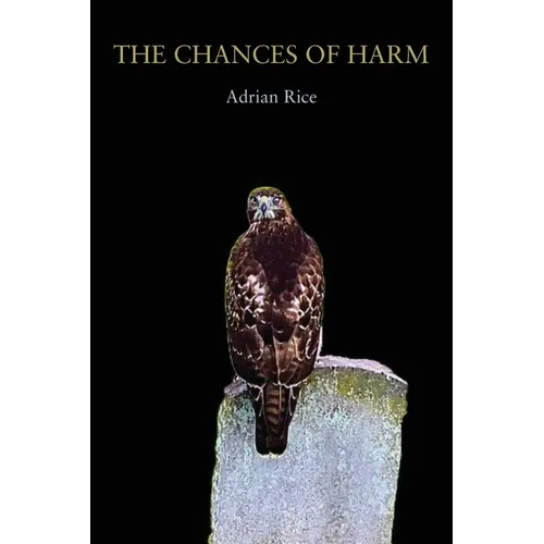 The Chances of Harm: Poems