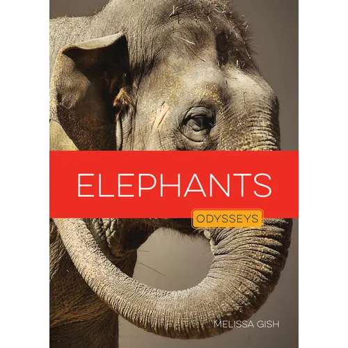 Elephants