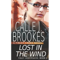 Lost in the Wind