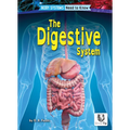 The Digestive System