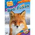 Red Foxes