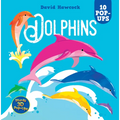 Dolphins: 10 Pop-Ups